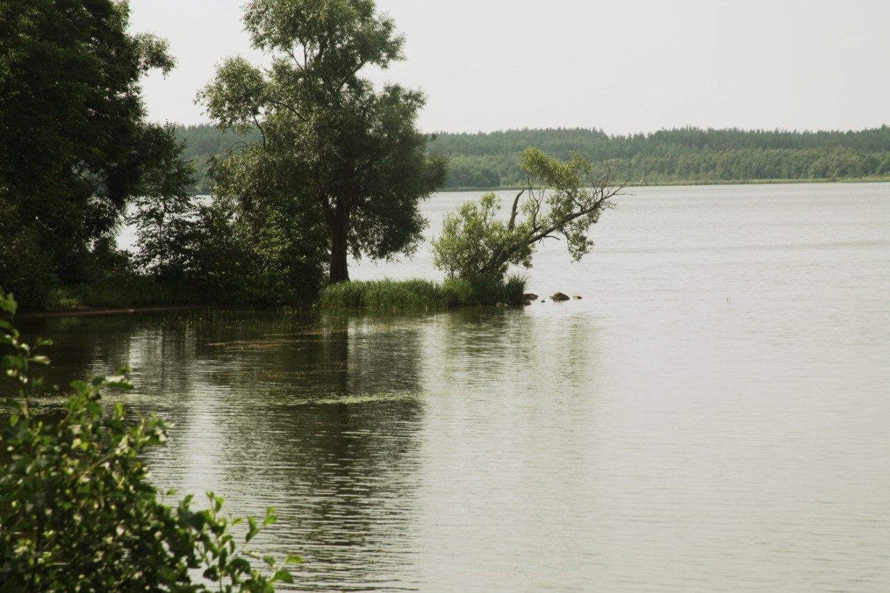 голубые озера санаторий в псковской области