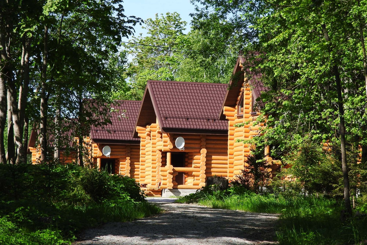 Санаторий приозерский ленинградская. Отель яркое Приозерск. Парк отель яркое Приозерск. Озеро Вуокса турбаза яркое. Яркое база отдыха Приозерск.