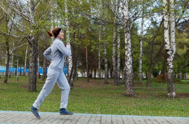 оздоровительная программа